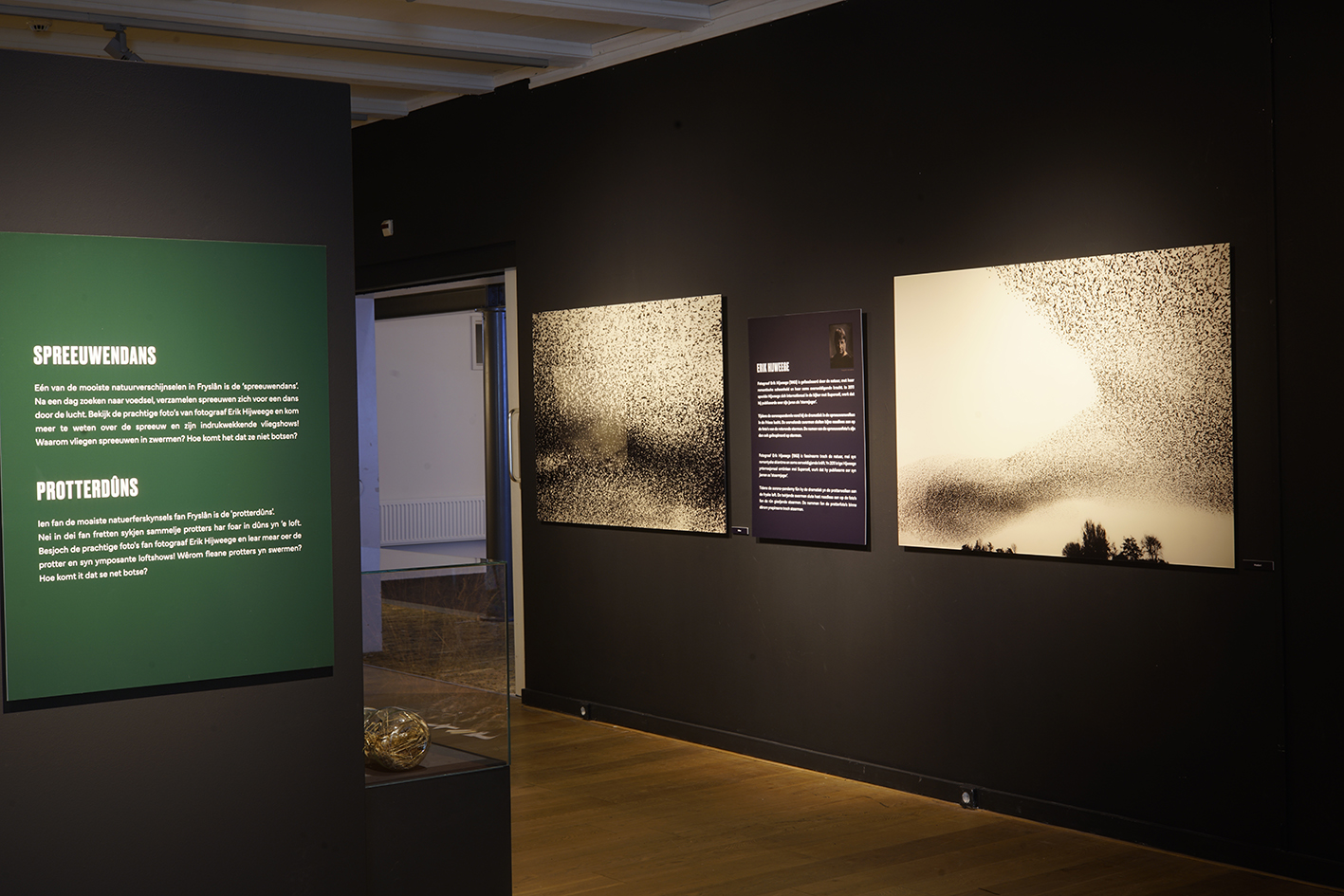 Natuurmuseum Fryslan